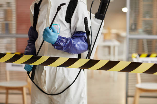 Professional Hoarding Cleanup technician working in Cecil, AR